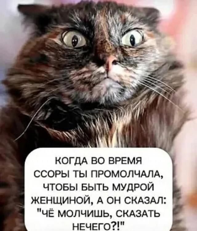 КОГДА ВО ВРЕМЯ ССОРЫ ТЫ ПРОМОЛЧАЛА, ЧТОБЫ БЫТЬ МУДРОЙ ЖЕНЩИНОЙ, А ОН СКАЗАЛ: 