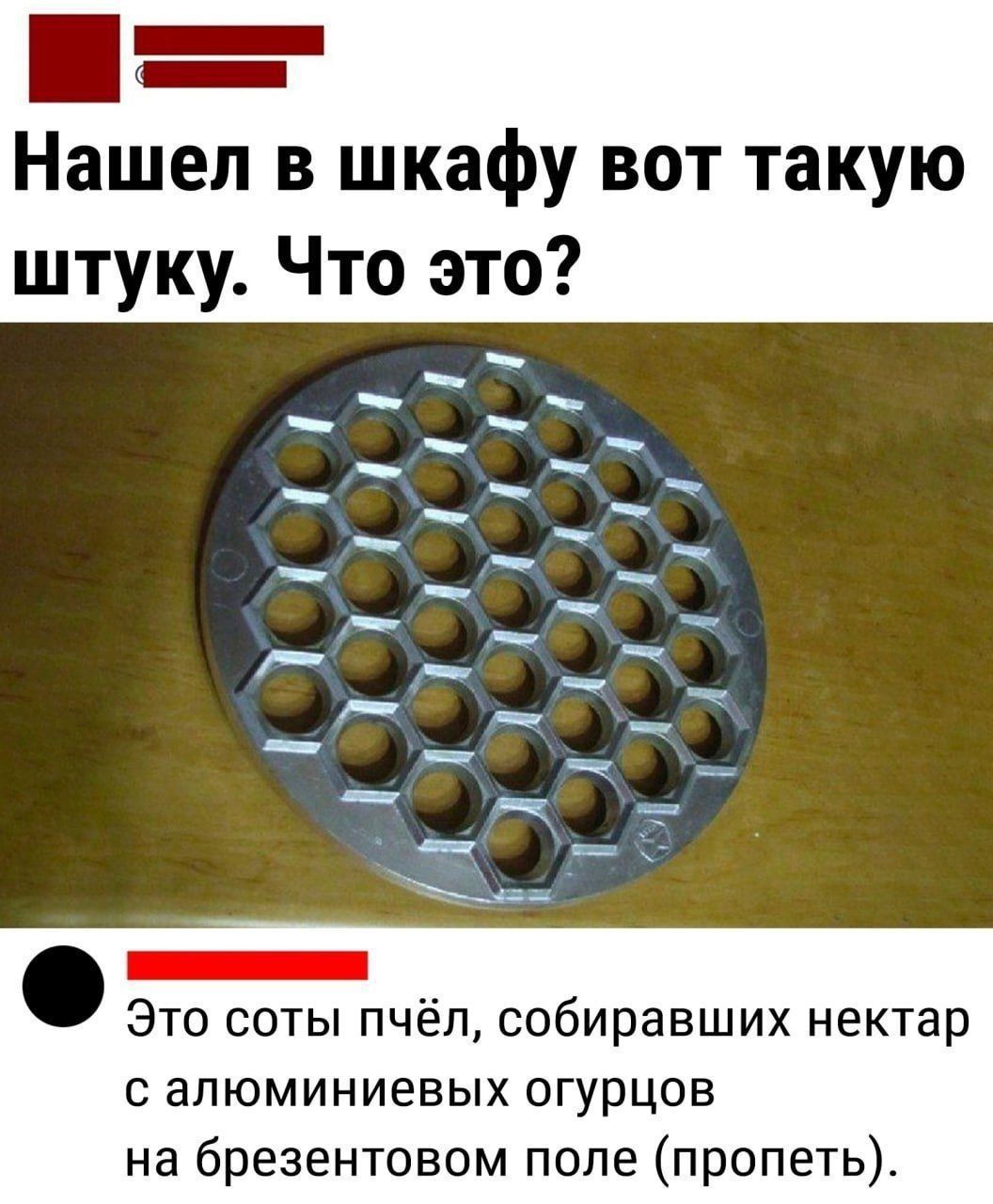 Нашел в шкафу вот такую штуку. Что это? Это соты пчёл, собиравших нектар с алюминиевых огурцов на брезентовом поле (пропеть).