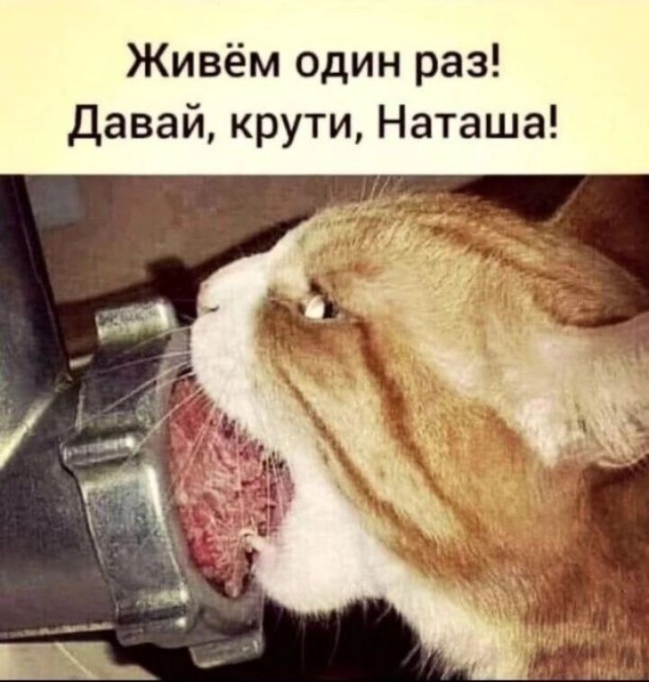 Живём один раз! Давай, крути, Наташа!