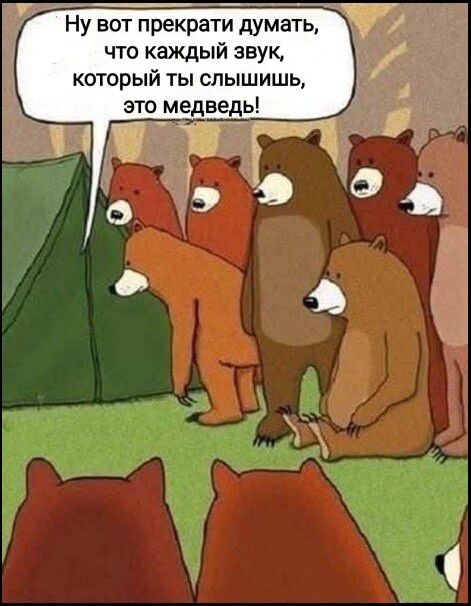 Ну вот прекрати думать, что каждый звук, который ты слышишь, это медведь!