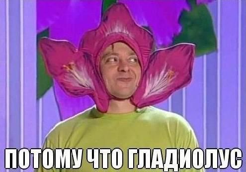 ПОТОМУ ЧТО ГЛАДИОЛУС