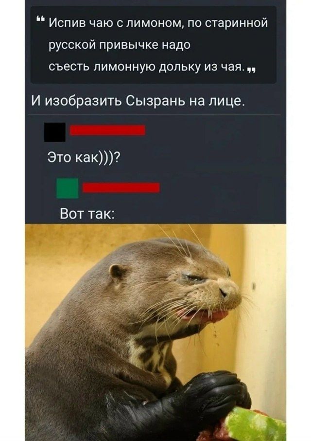 Испив чаю с лимоном, по старинной русской привычке надо съесть лимонную дольку из чая. И изобразить Сызрань на лице. Это как)))? Вот так: