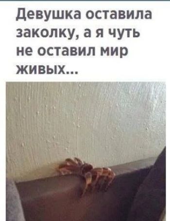 Девушка оставила заколку, а я чуть не оставил мир живых...