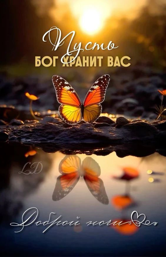 Пусть Бог хранит вас. Доброй ночи.