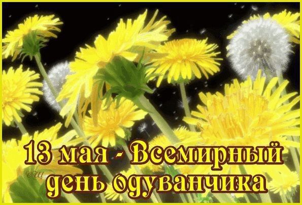 13 мая - Всемирный день одуванчика