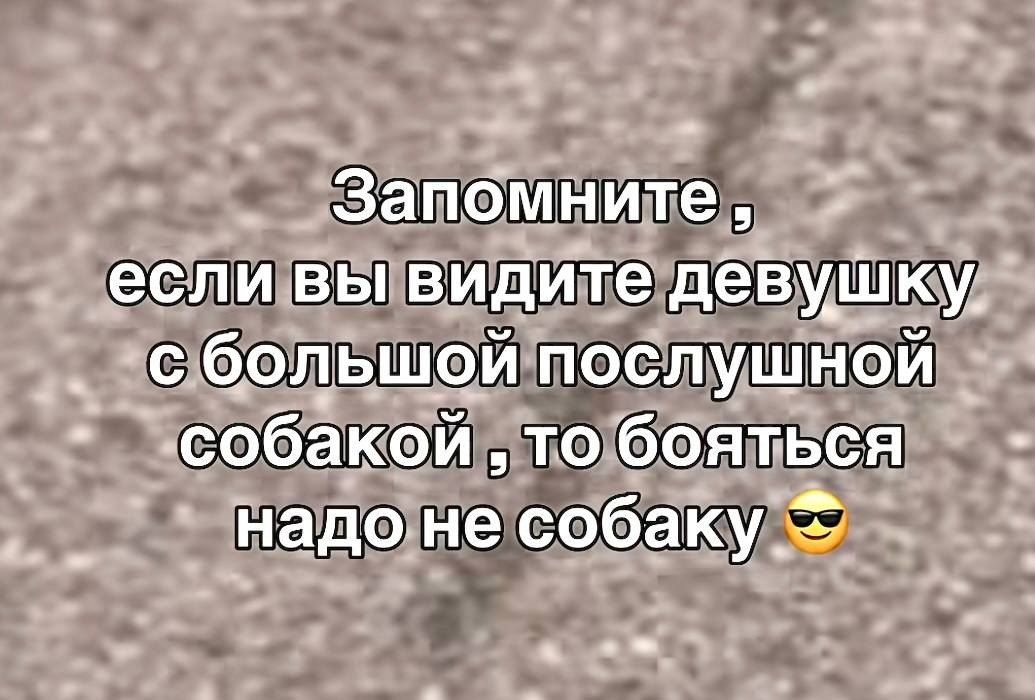 Запомните, если вы видите девушку с большой послушной собакой, то бояться надо не собаку