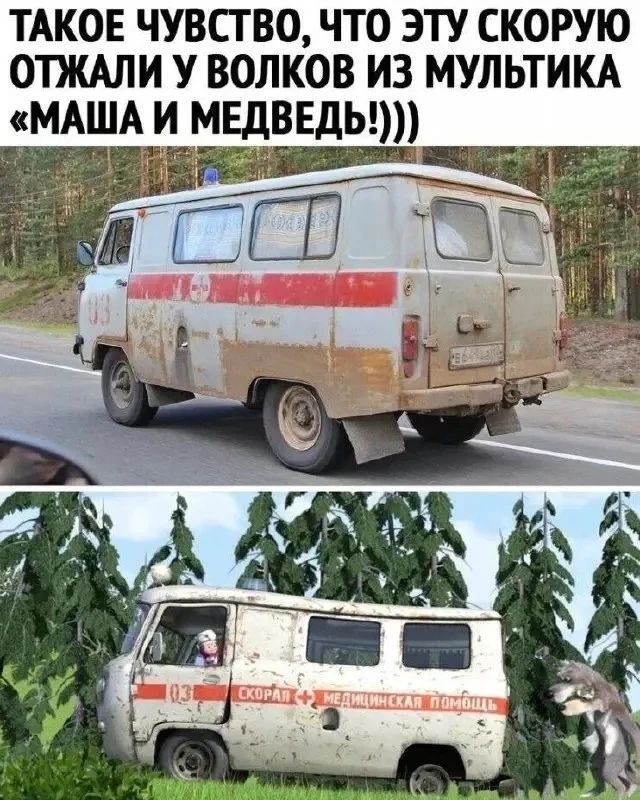 ТАКОЕ ЧУВСТВО, ЧТО ЭТУ СКОРУЮ ОТЖАЛИ У ВОЛКОВ ИЗ МУЛЬТИКА «МАША И МЕДВЕДЬ!»)))