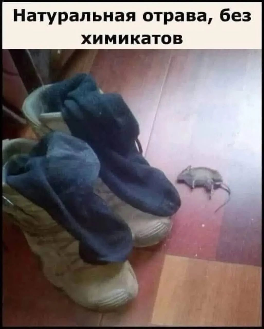 Натуральная отрава, без химикатов