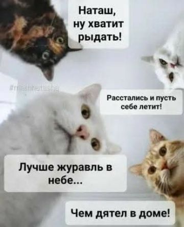 Наташ, ну хватит рыдать! Расстались и пусть себе летит! Лучше журавль в небе... Чем дятел в доме!