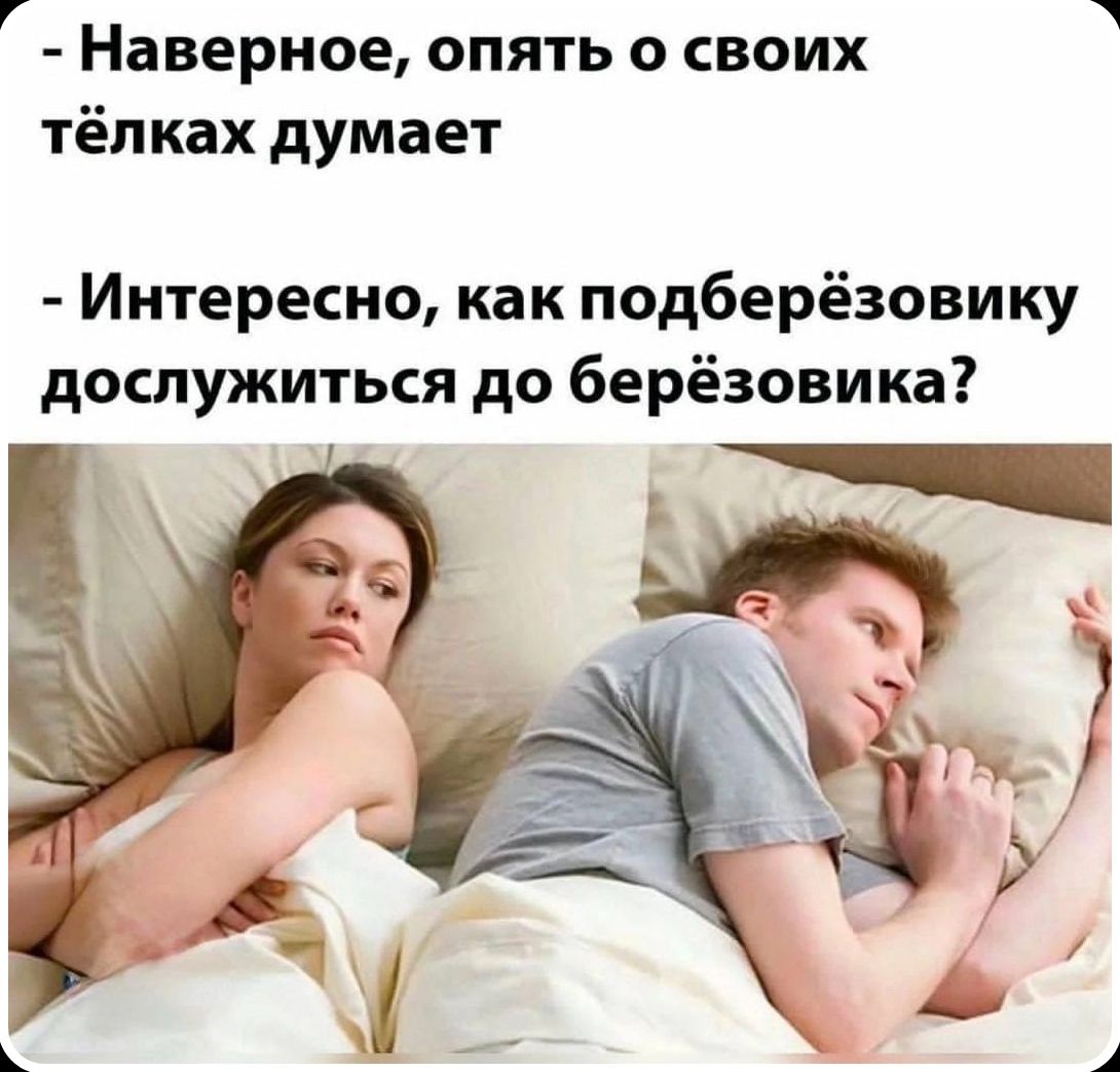 - Наверное, опять о своих тёлках думает
- Интересно, как подберёзовику дослужиться до берёзовика?