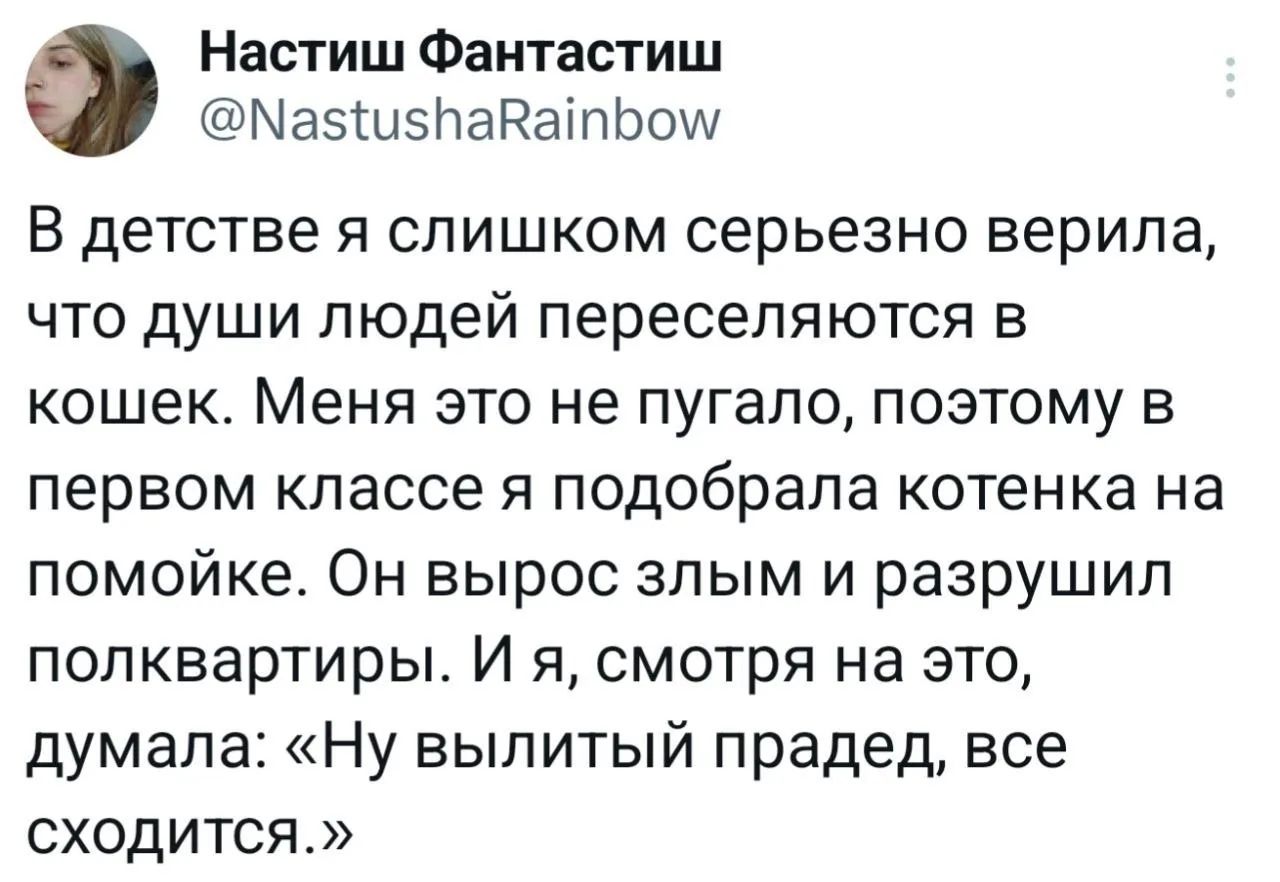 Настиш Фантастиш @NastushaRainbow В детстве я слишком серьезно верила, что души людей переселяются в кошек. Меня это не пугало, поэтому в первом классе я подобрала котенка на помойке. Он вырос злым и разрушил полквартиры. И я, смотря на это, думала: «Ну вылитый прадед, все сходится.»