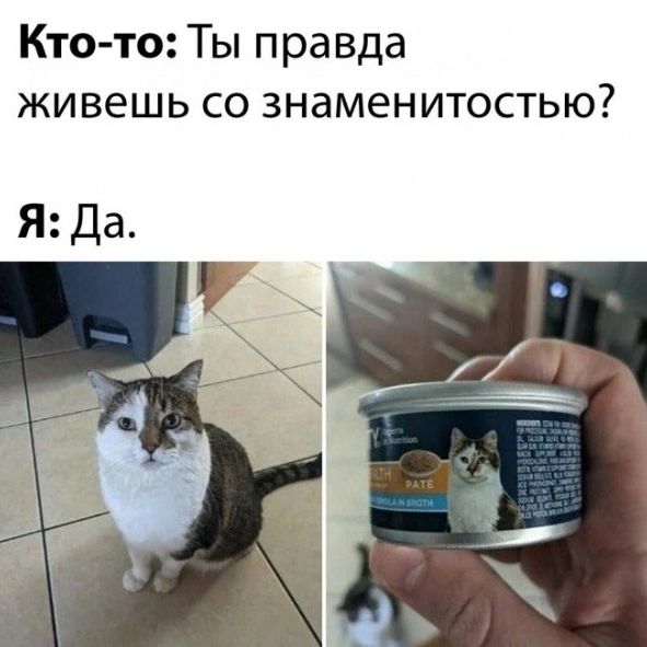 Кто-то: Ты правда живешь со знаменитостью? Я: Да.