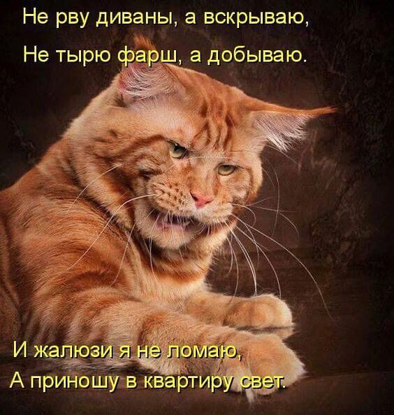 Не рву диваны, а вскрываю, Не тырю фарш, а добываю. И жалюзи я не ломаю, А приношу в квартиру свет.