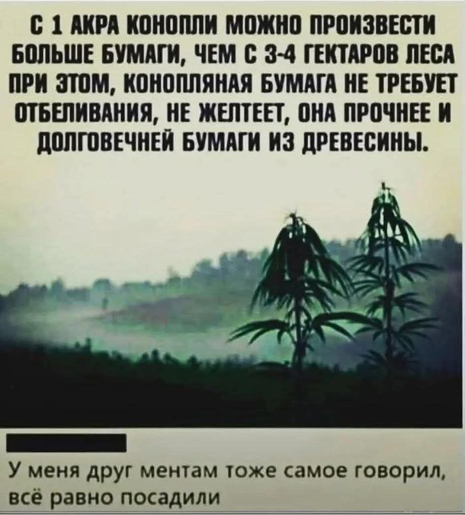 С 1 акра конопли можно произвести больше бумаги, чем с 3-4 гектаров леса. При этом, конопляная бумага не требует отбеливания, не желтеет, она прочнее и долговечней бумаги из древесины. У меня друг ментам тоже самое говорил, всё равно посадили