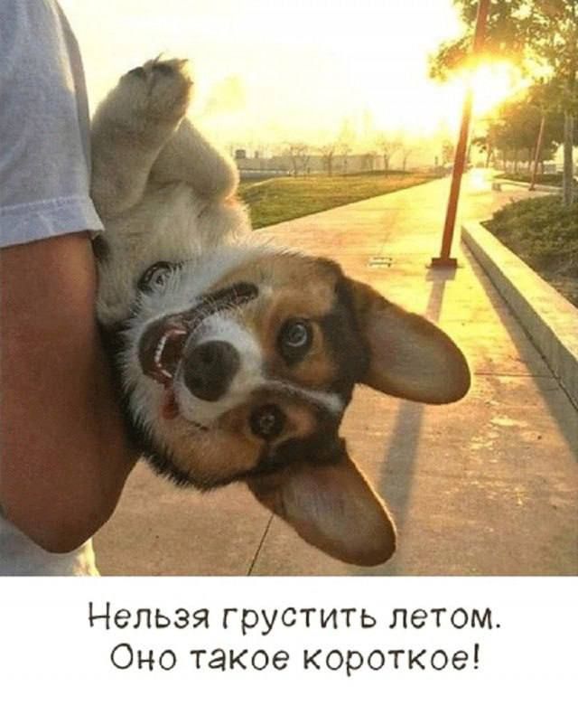 Нельзя грустить летом. Оно такое короткое!