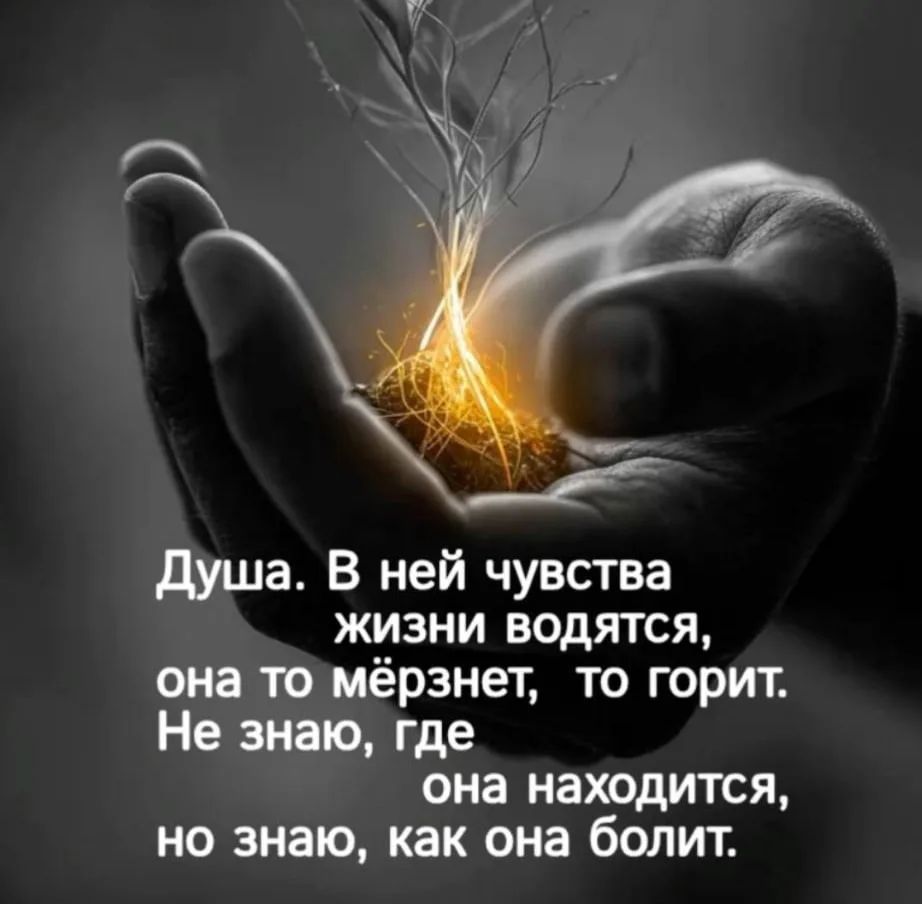 Душа. В ней чувства жизни водятся, она то мёрзнет, то горит. Не знаю, где она находится, но знаю, как она болит.