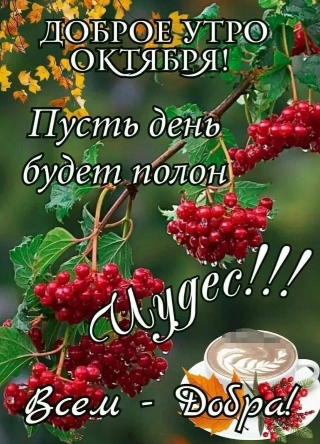 ДОБРОЕ УТРО ОКТЯБРЯ! Пусть день будет полон чудес!!! Всем - Добра!