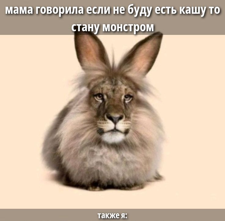 мама говорила если не буду есть кашу то стану монстром также я: