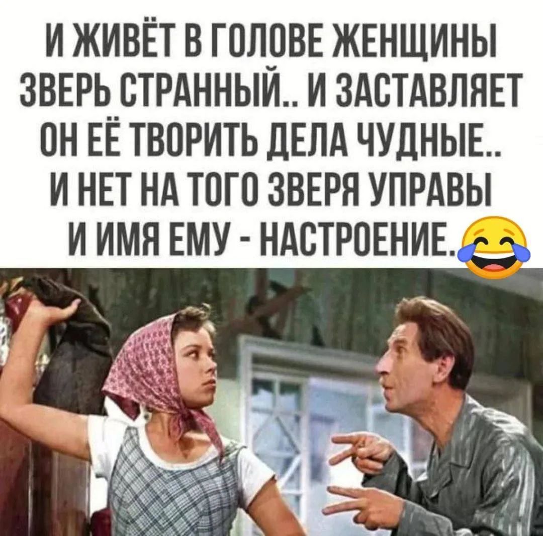 И живёт в голове женщины зверь странный.. И заставляет он её творить дела чудные.. И нет на того зверя управы. И имя ему - настроение.