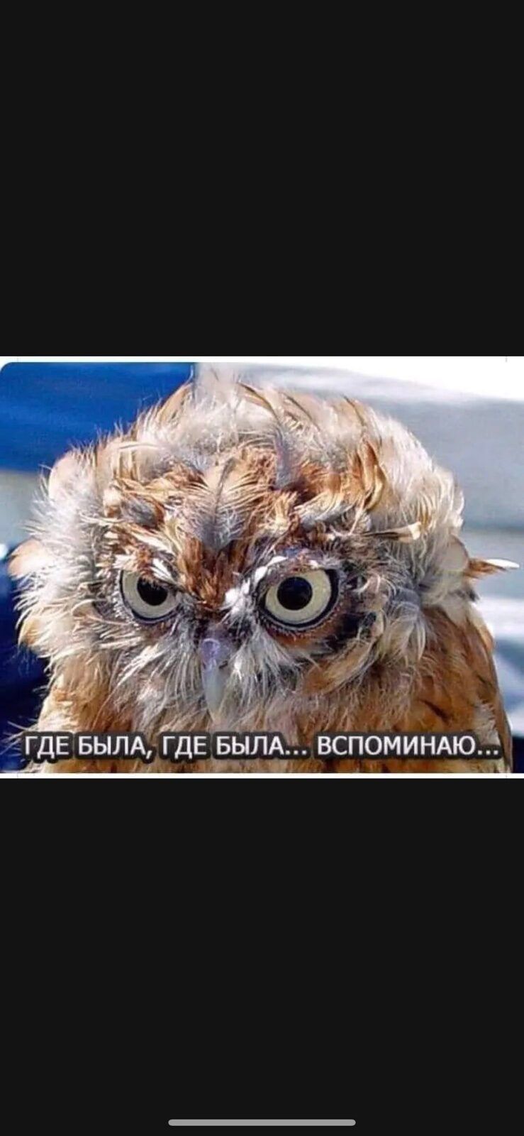 ГДЕ БЫЛА, ГДЕ БЫЛА... ВСПОМИНАЮ...