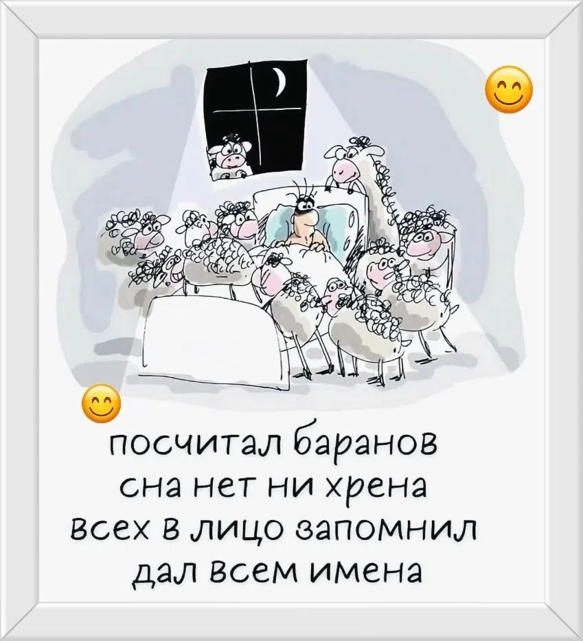 посчитал баранов сна нет ни хрена всех в лицо запомнил дал всем имена