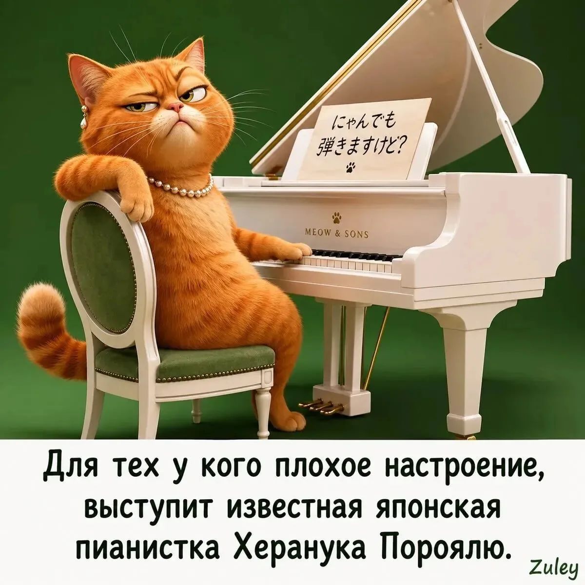 Для тех у кого плохое настроение, выступит известная японская пианистка Херанука Пороялю.