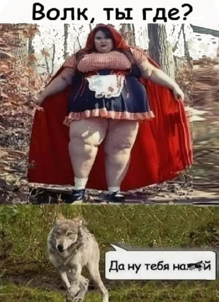 Волк, ты где? Да ну тебя нах*й