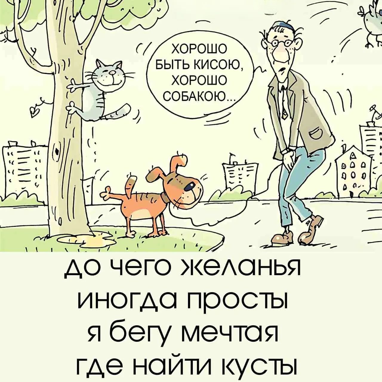 ХОРОШО БЫТЬ КИСОЮ, ХОРОШО СОБАКОЮ... ДО ЧЕГО ЖЕЛАНЬЯ ИНОГДА ПРОСТЫ Я БЕГУ МЕЧТАЯ ГДЕ НАЙТИ КУСТЫ