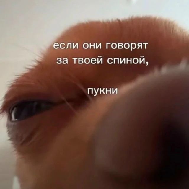 если они говорят за твоей спиной, пукни