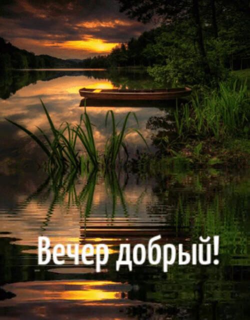 Вечер добрый!