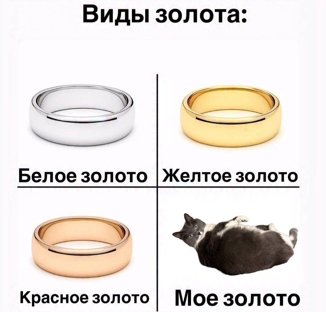 Виды золота: Белое золото Желтое золото Красное золото Мое золото