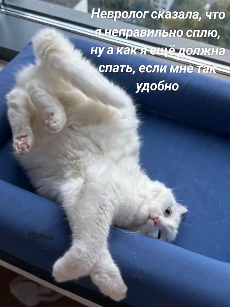 Невролог сказала, что я неправильно сплю, ну а как я ещё должна спать, если мне так удобно