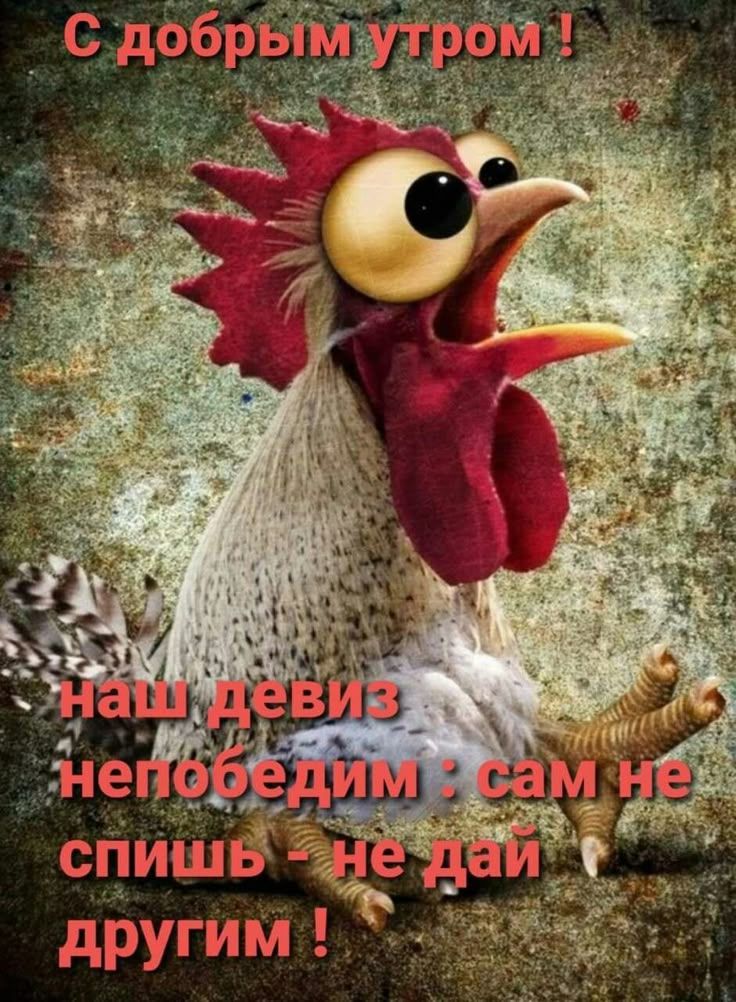 С добрым утром! Наш девиз непобедим: сам не спишь - не дай другим!