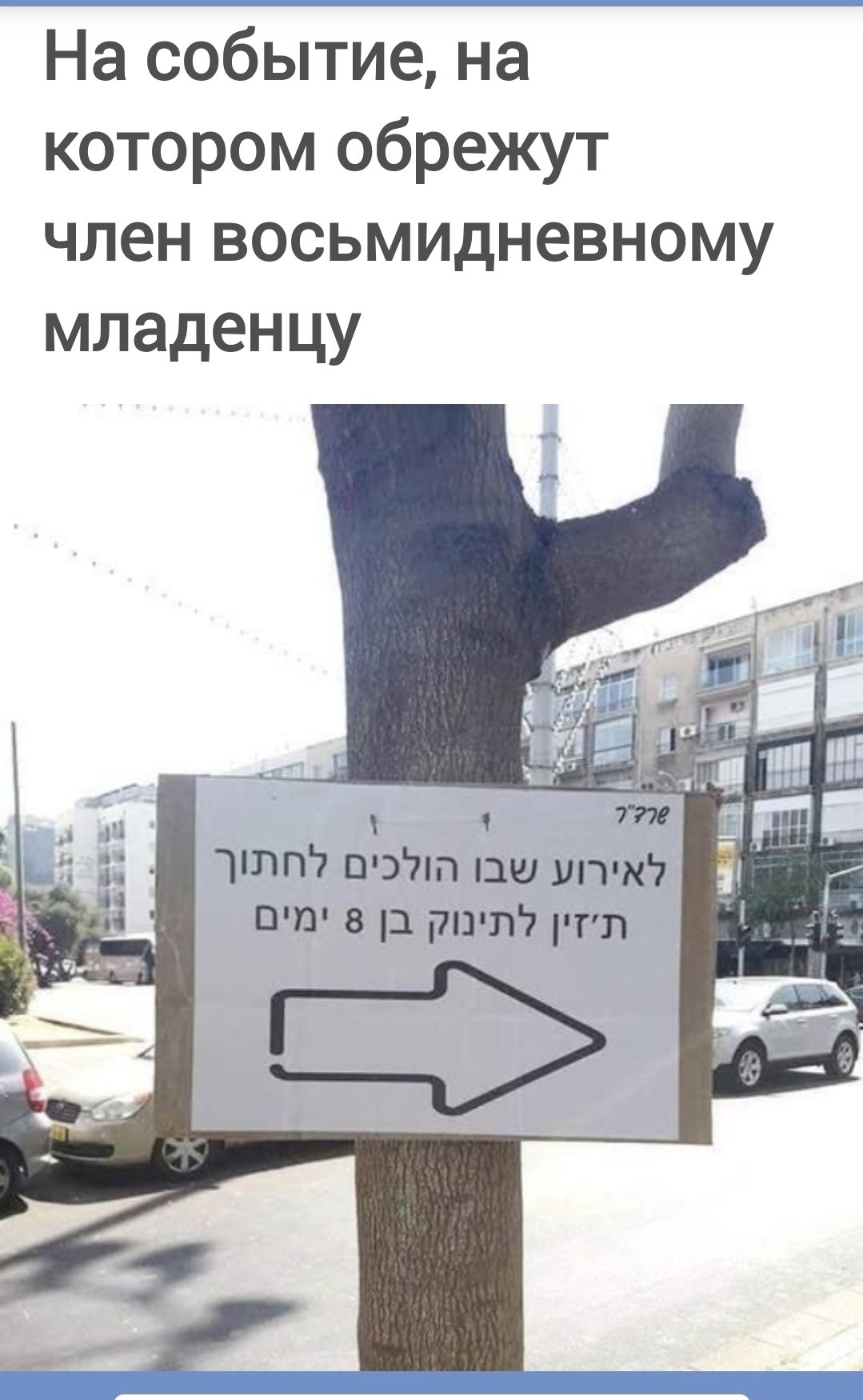 На событие, на котором обрежут член восьмидневному младенцу. לאירוע שבו הולכים לחתוך תיזון לתינוק בן 8 ימים