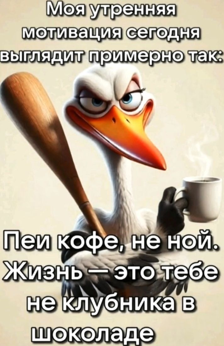 Моя утренняя мотивация сегодня выглядит примерно так: Пей кофе, не ной. Жизнь — это тебе не клубника в шоколаде
