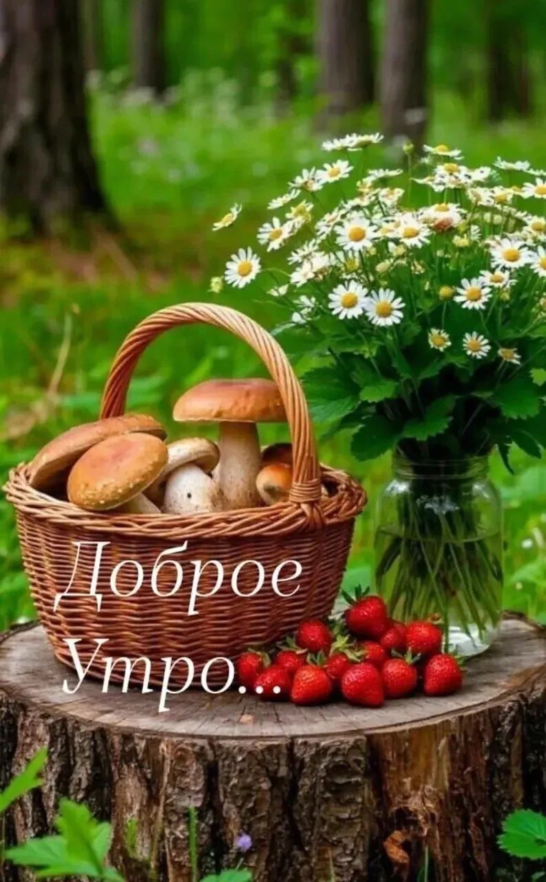 Доброе Утро...