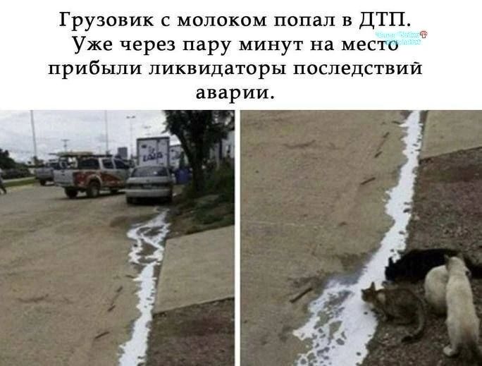 Грузовик с молоком попал в ДТП. Уже через пару минут на место прибыли ликвидаторы последствий аварии.