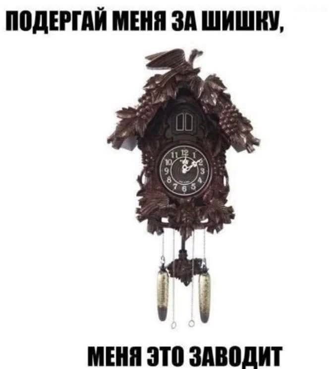 ПОДЕРГАЙ МЕНЯ ЗА ШИШКУ, МЕНЯ ЭТО ЗАВОДИТ