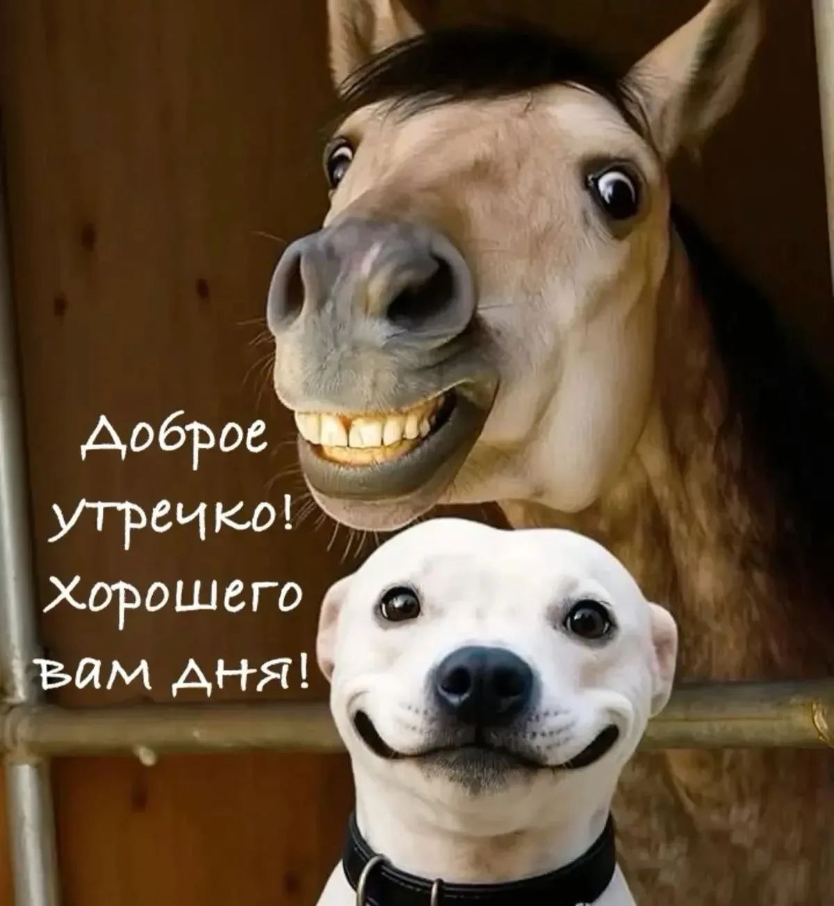 Доброе утречко! Хорошего вам дня!