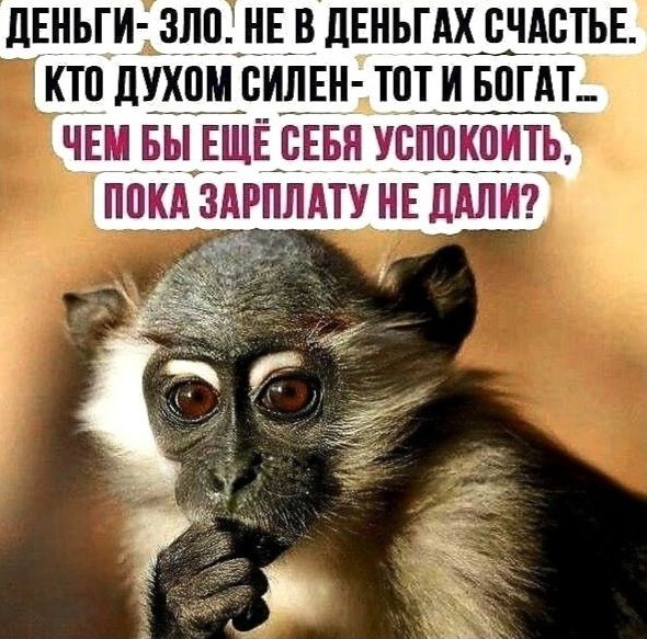 ДЕНЬГИ- ЗЛО. НЕ В ДЕНЬГАХ СЧАСТЬЕ. КТО ДУХОМ СИЛЕН- ТОТ И БОГАТ... ЧЕМ БЫ ЕЩЁ СЕБЯ УСПОКОИТЬ, ПОКА ЗАРПЛАТУ НЕ ДАЛИ?