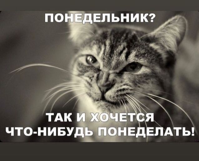 ПОНЕДЕЛЬНИК? ТАК И ХОЧЕТСЯ ЧТО-НИБУДЬ ПОНЕДЕЛАТЬ!