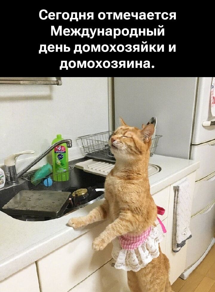 Сегодня отмечается Международный день домохозяйки и домохозяина.