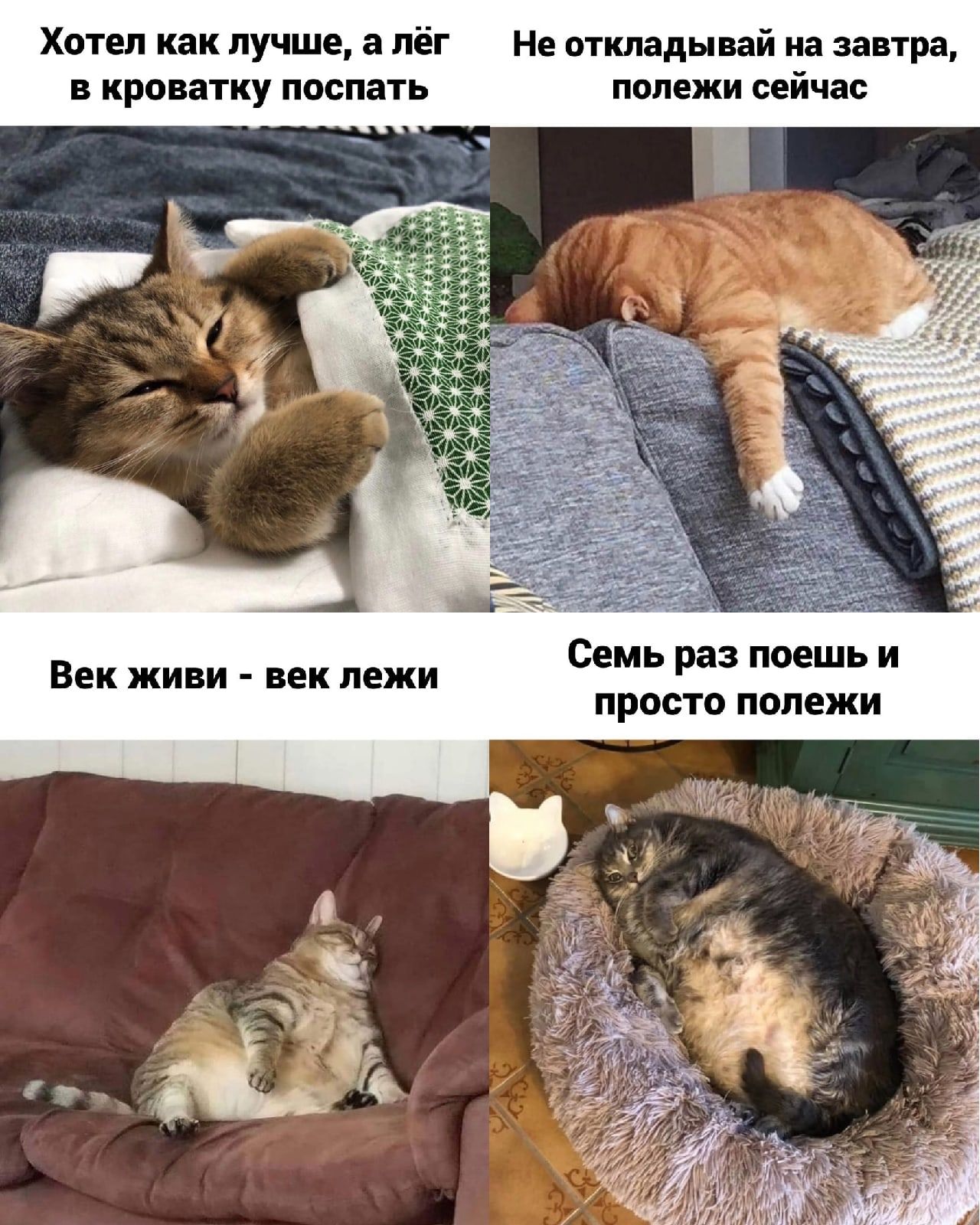 Хотел как лучше, а лёг в кроватку поспать. Не откладывай на завтра, полежи сейчас. Век живи - век лежи. Семь раз поешь и просто полежи.