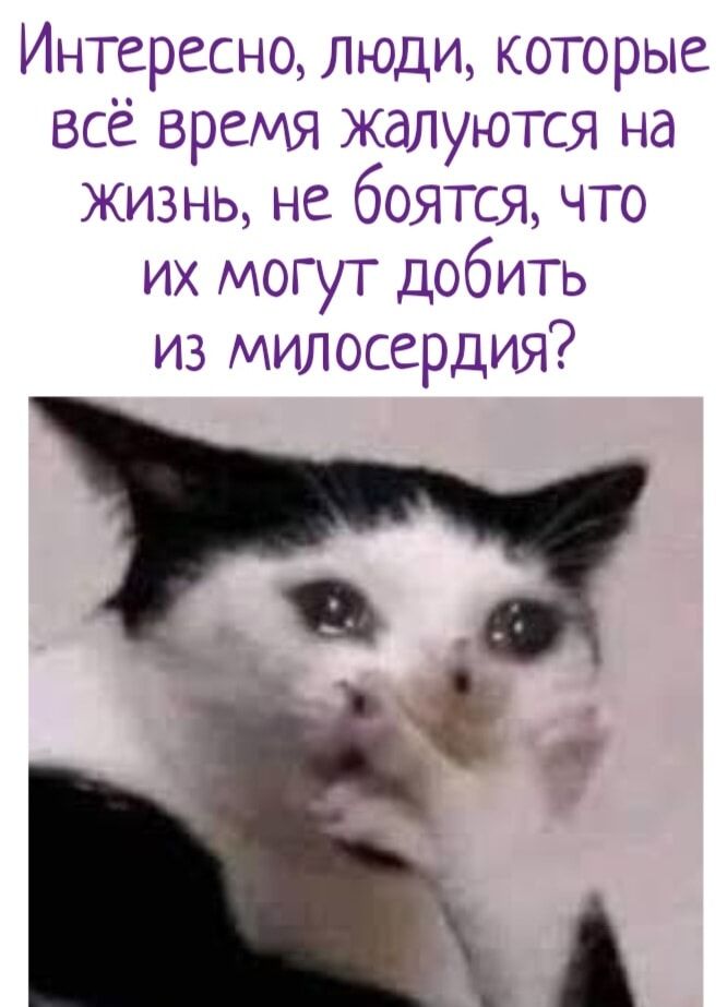 Интересно, люди, которые всё время жалуются на жизнь, не боятся, что их могут добить из милосердия?