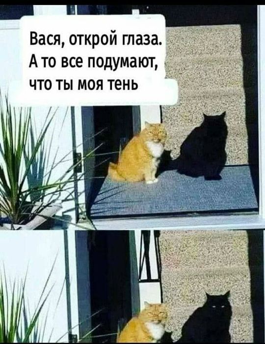 Вася, открой глаза. А то все подумают, что ты моя тень