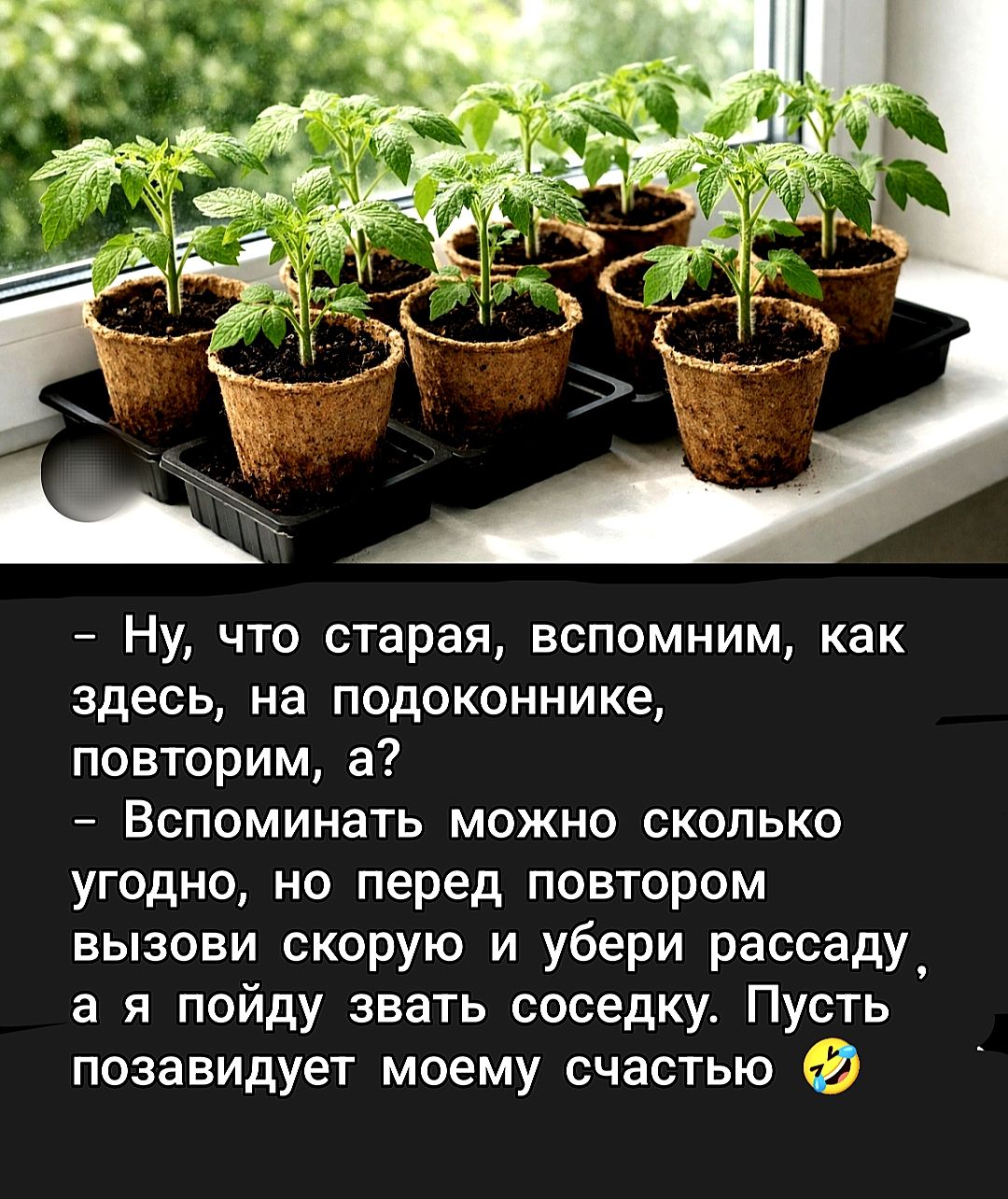 – Ну, что старая, вспомним, как здесь, на подоконнике, повторим, а? – Вспоминать можно сколько угодно, но перед повтором вызови скорую и убери рассаду, а я пойду звать соседку. Пусть позавидует моему счастью 😂