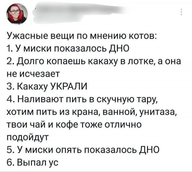 Ужасные вещи по мнению котов:
1. У миски показалось ДНО
2. Долго копаешь какаху в лотке, а она не исчезает
3. Какаху УКРАЛИ
4. Наливают пить в скучную тару, хотим пить из крана, ванной, унитаза, твои чай и кофе тоже отлично подойдут
5. У миски опять показалось ДНО
6. Выпал ус