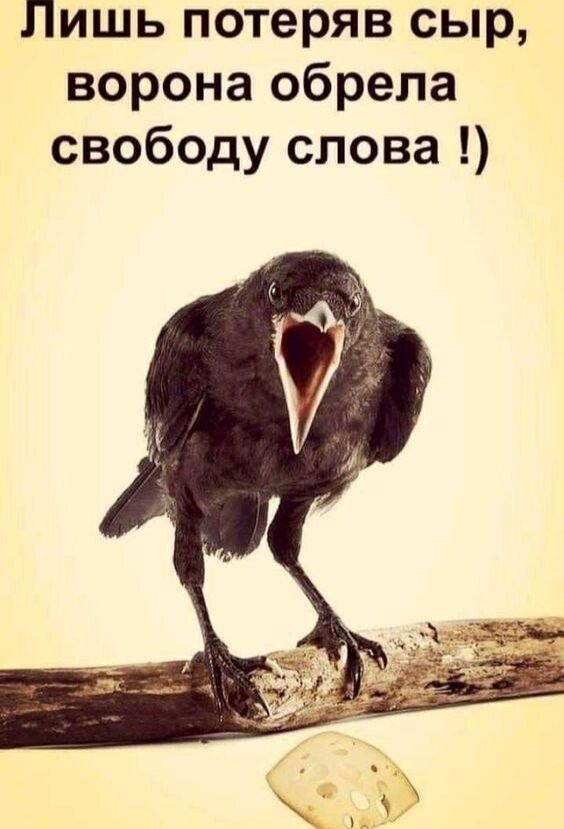 Лишь потеряв сыр, ворона обрела свободу слова !)