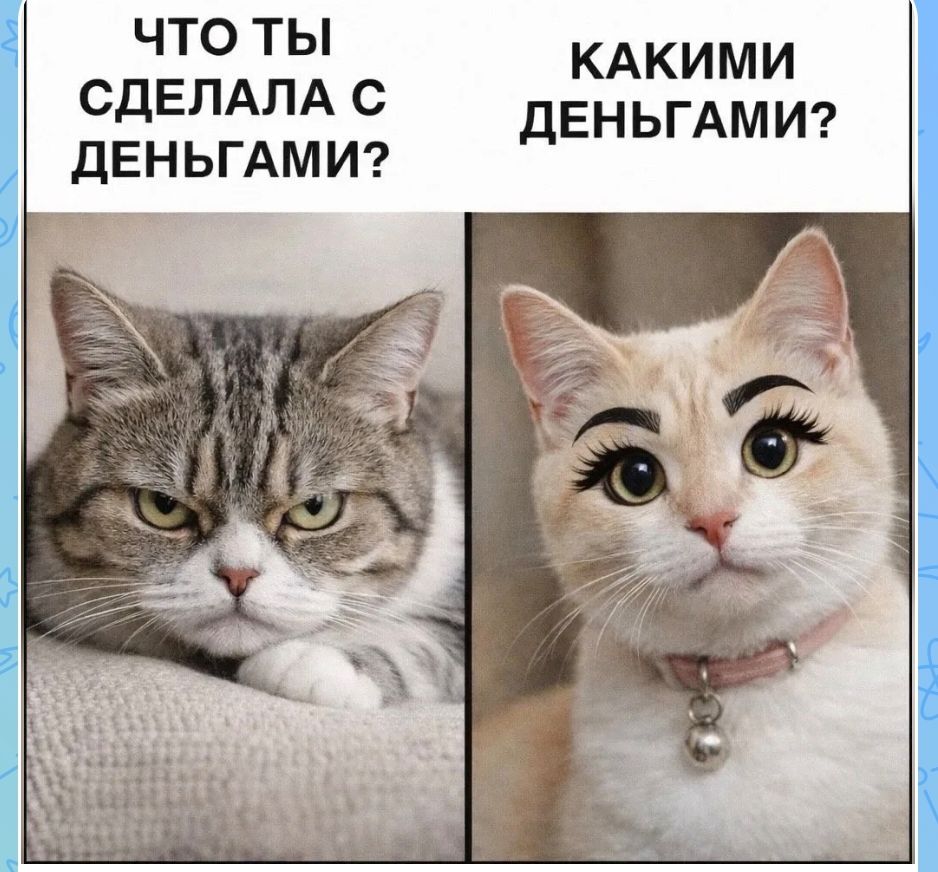 ЧТО ТЫ СДЕЛАЛА С ДЕНЬГАМИ? КАКИМИ ДЕНЬГАМИ?