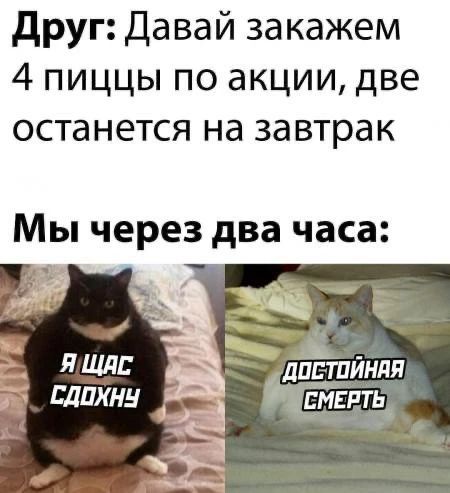 Друг: Давай закажем 4 пиццы по акции, две останется на завтрак. Мы через два часа: Я щас сдохну. Достойная смерть
